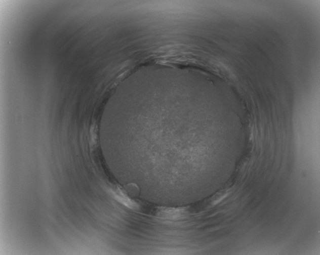 X0000066000081200603061334