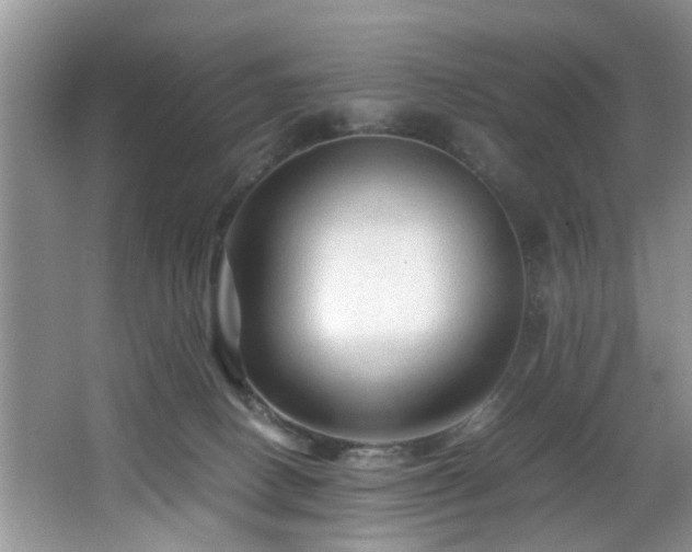 X0000066000082200603061334