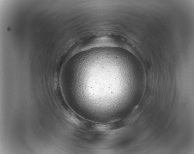 X0000066000085200603061334