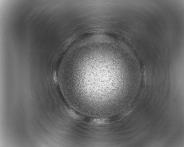 X0000066000089200603061334