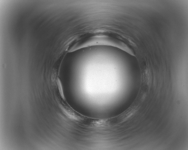 X0000066000092200603061334