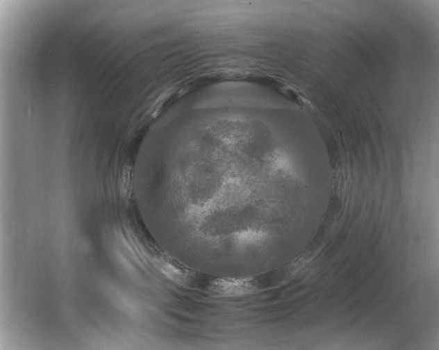 X0000066000093200603061334