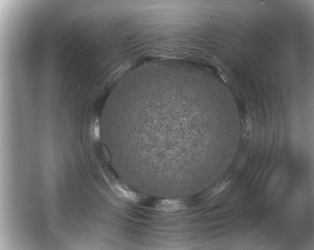 X0000066000095200603061335