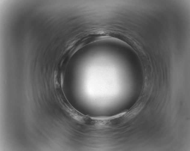 X0000066000096200603061335