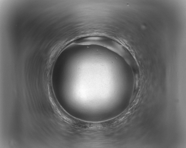 X0000066000097200603061334