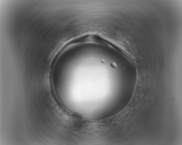 X0000066000098200603061334