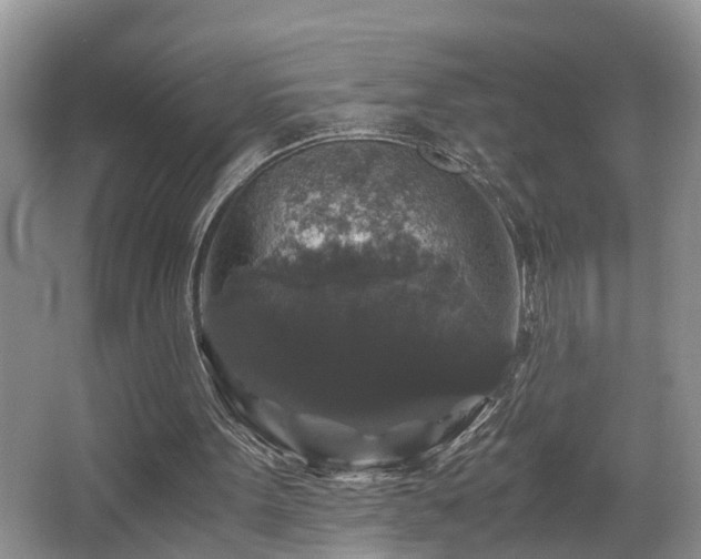 X0000066000099200603061334