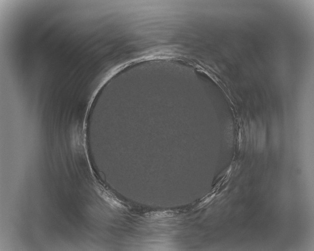 X0000066000100200603061334