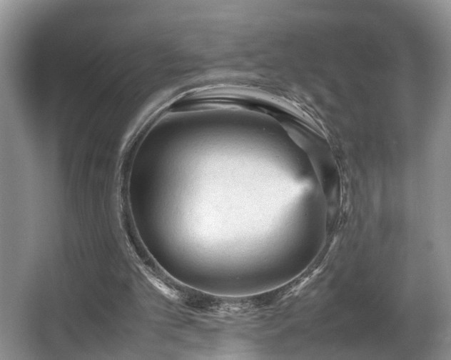 X0000066000101200603061334