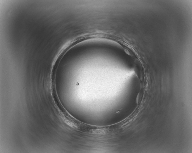 X0000066000102200603061334