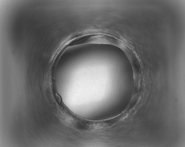 X0000066000103200603061334