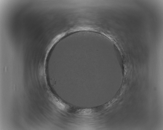 X0000066000104200603061334