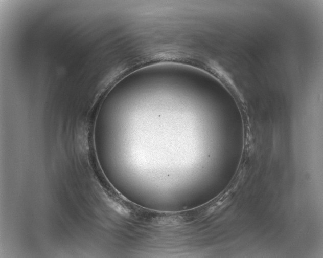 X0000066000106200603061334