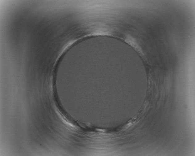 X0000066000108200603061334