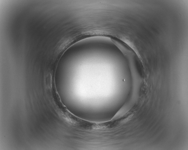 X0000066000109200603061334