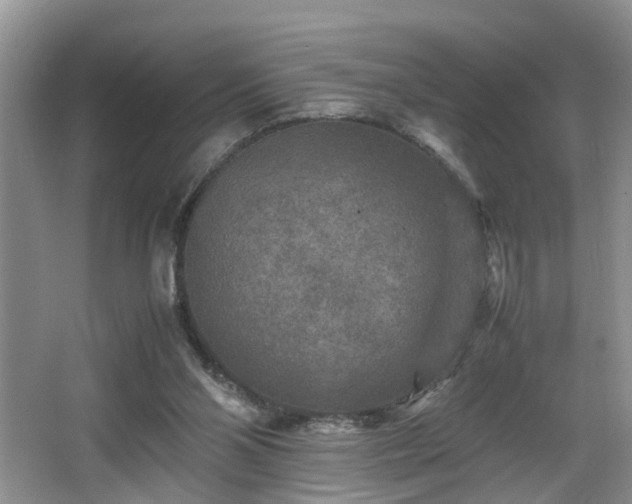 X0000066000110200603061334