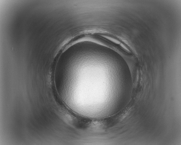 X0000066000111200603061333