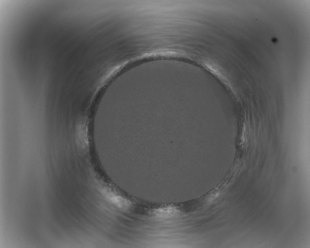 X0000066000112200603061333