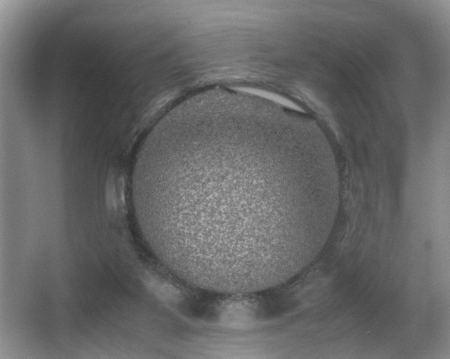 X0000066000115200603061333