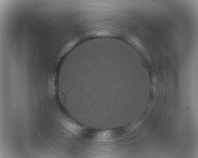 X0000066000116200603061333