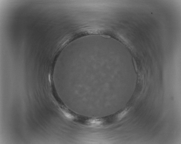 X0000066000117200603061333