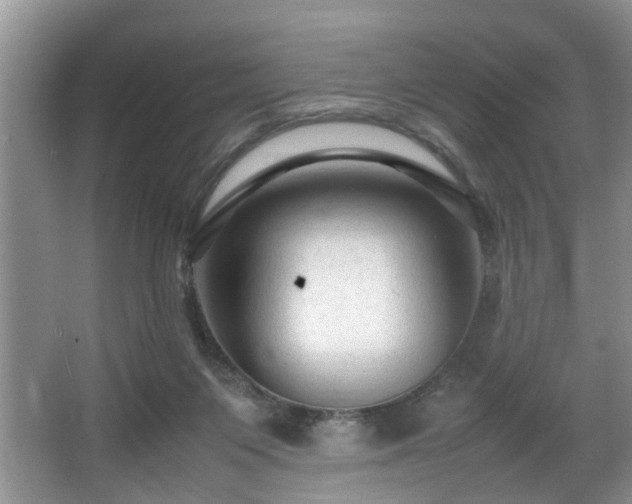 X0000066000119200603061333