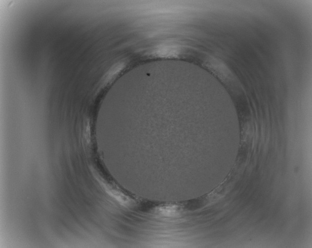 X0000066000120200603061333