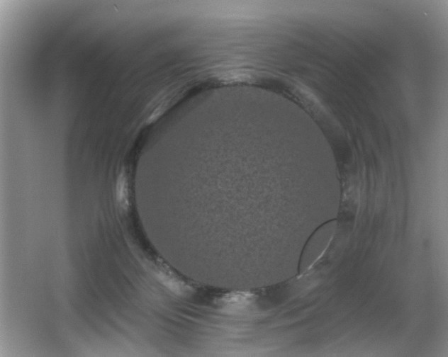 X0000066000124200603061333