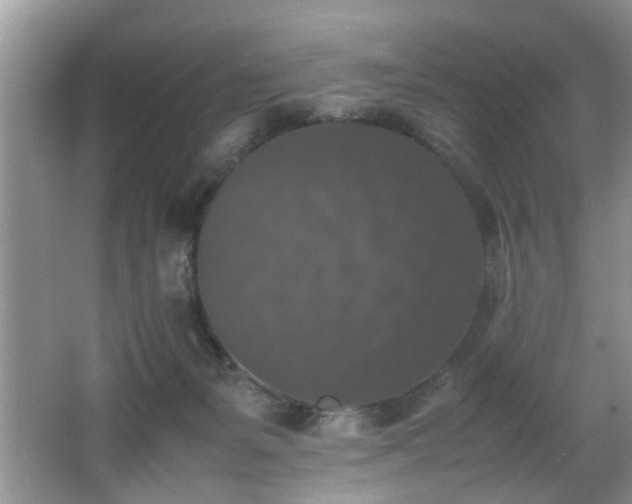 X0000066000127200603061333