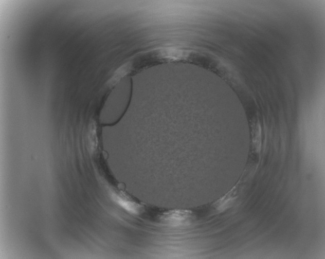 X0000066000128200603061333