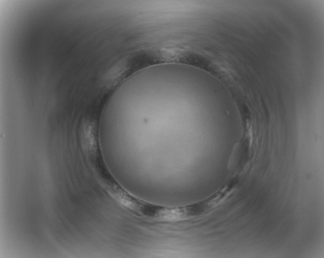 X0000066000131200603061333