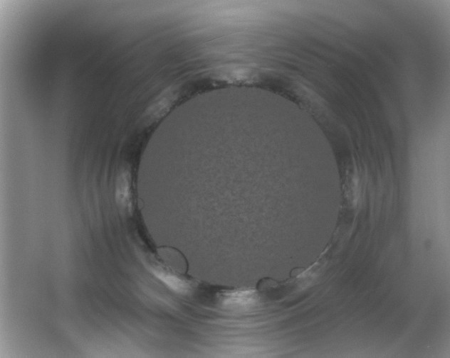 X0000066000132200603061333