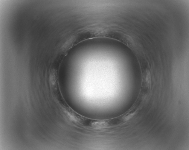 X0000066000133200603061333