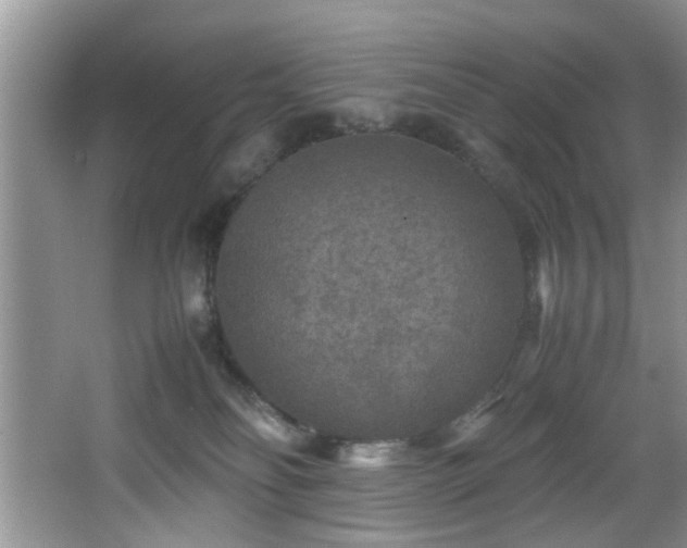 X0000066000134200603061333