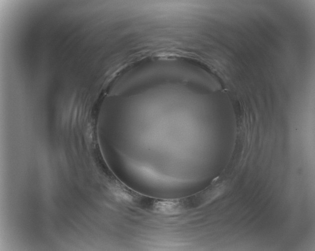 X0000066000139200603061333