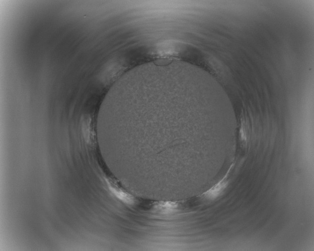 X0000066000140200603061333