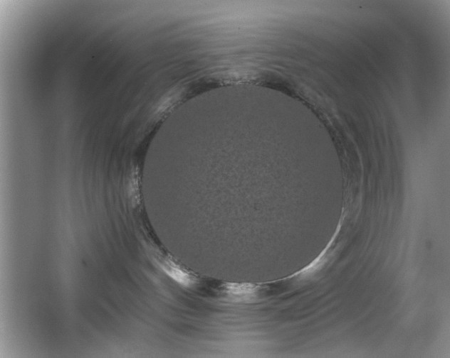 X0000066000144200603061333