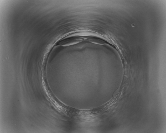 X0000066000145200603061332