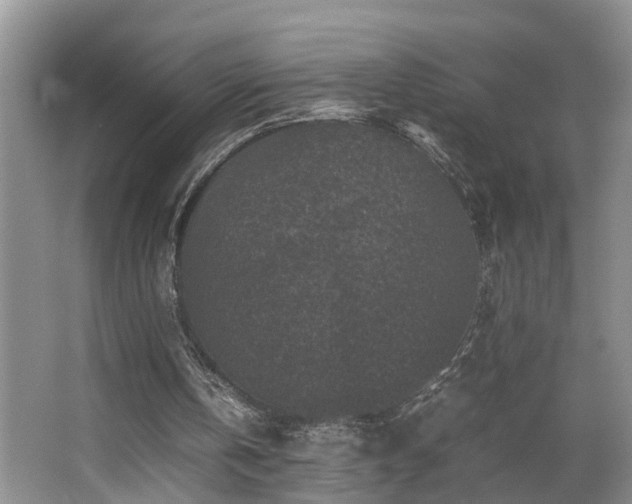 X0000066000146200603061332