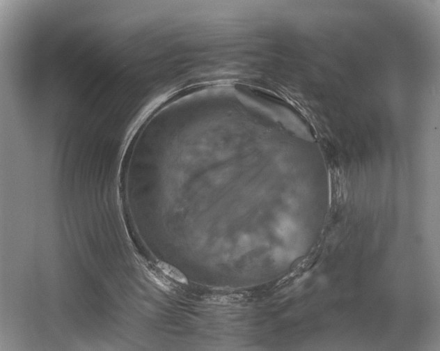 X0000066000147200603061332