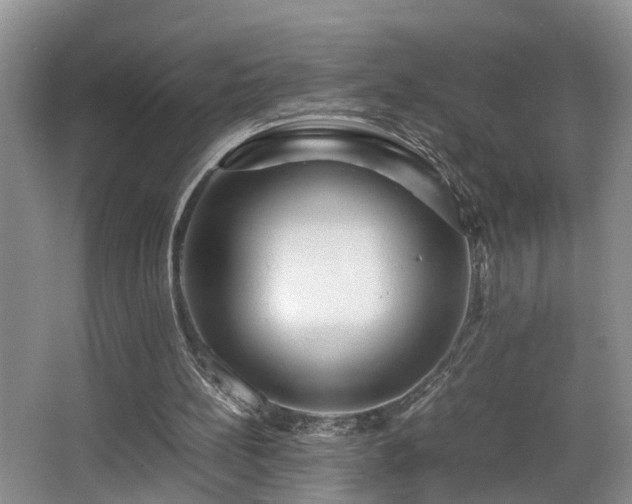 X0000066000148200603061332