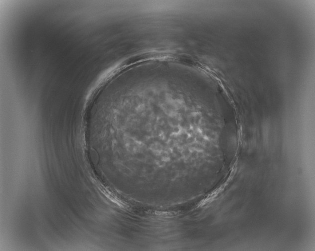 X0000066000149200603061332