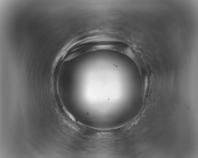 X0000066000150200603061332