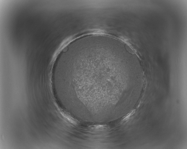 X0000066000151200603061332