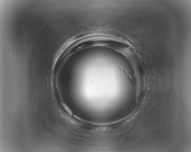 X0000066000152200603061332