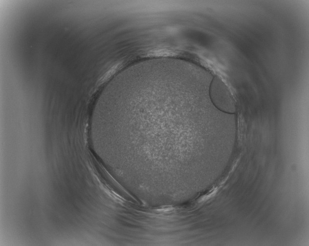 X0000066000153200603061332