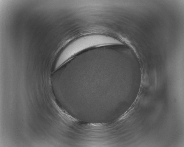 X0000066000154200603061332