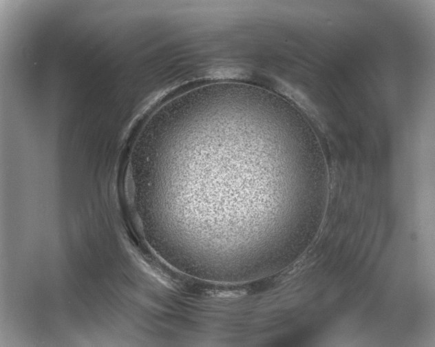 X0000066000155200603061332