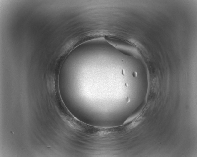 X0000066000158200603061332