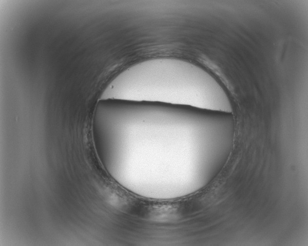 X0000066000161200603061332